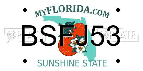 BSFJ53 Florida License Plate