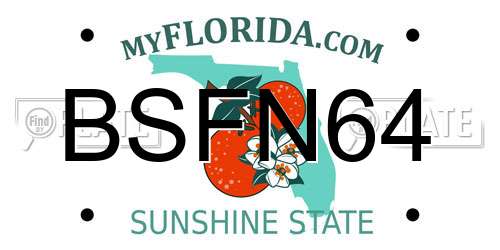 BSFN64 Florida License Plate