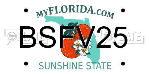 BSFV25 Florida License Plate