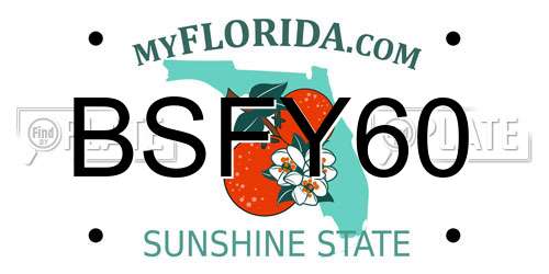 BSFY60 Florida License Plate