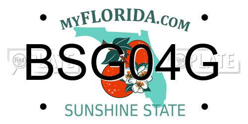 BSG04G Florida License Plate