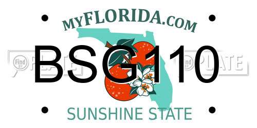 BSG110 Florida License Plate