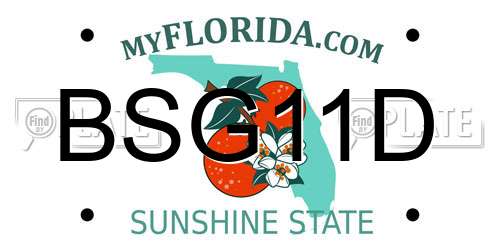 BSG11D Florida License Plate