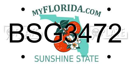 BSG3472 Florida License Plate