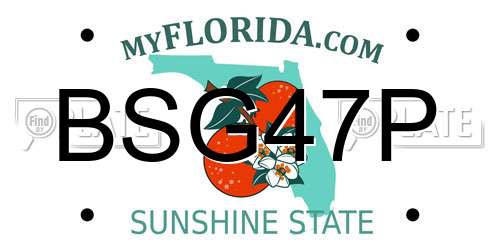 BSG47P Florida License Plate