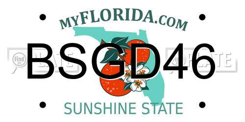 BSGD46 Florida License Plate