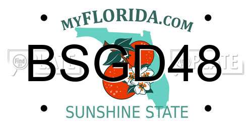 BSGD48 Florida License Plate