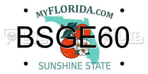 BSGE60 Florida License Plate