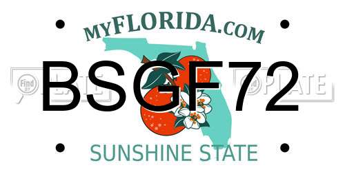 BSGF72 Florida License Plate