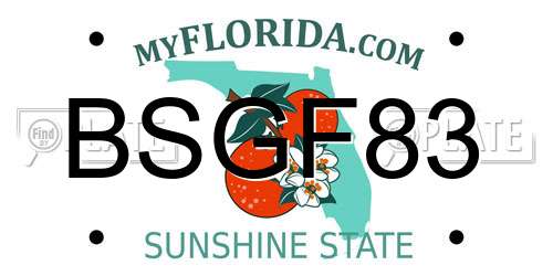 BSGF83 Florida License Plate