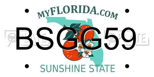 BSGG59 Florida License Plate