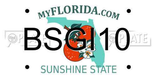BSGI10 Florida License Plate