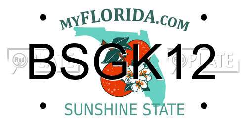 BSGK12 Florida License Plate