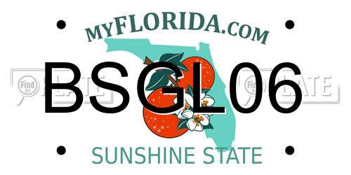 BSGL06 Florida License Plate