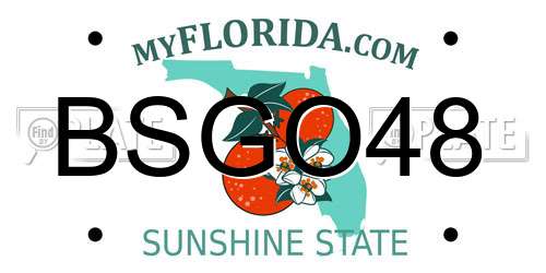 BSGO48 Florida License Plate