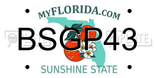 BSGP43 Florida License Plate