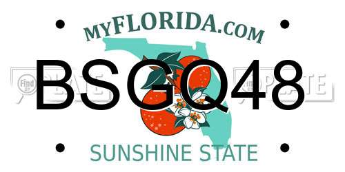 BSGQ48 Florida License Plate