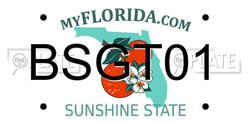BSGT01 Florida License Plate