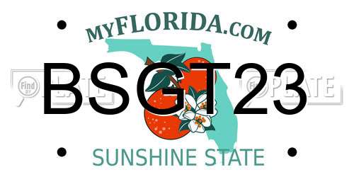 BSGT23 Florida License Plate