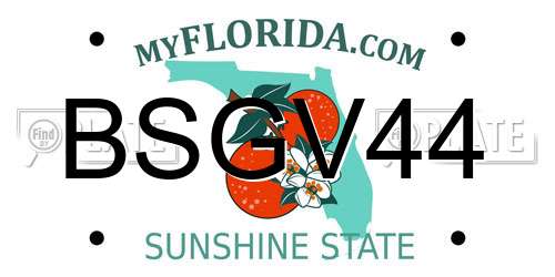 BSGV44 Florida License Plate