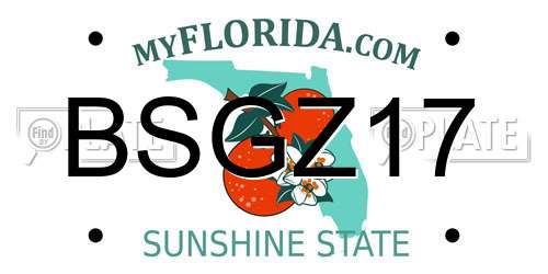 BSGZ17 Florida License Plate