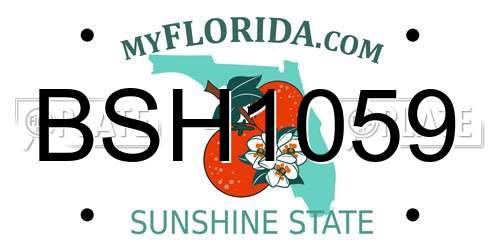 BSH1059 Florida License Plate