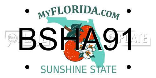 BSHA91 Florida License Plate