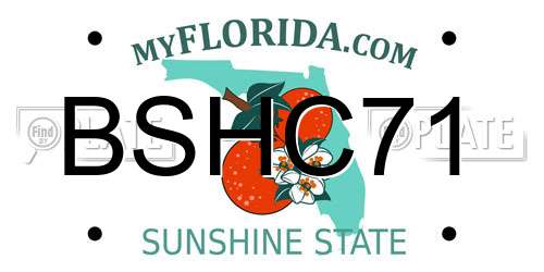 BSHC71 Florida License Plate