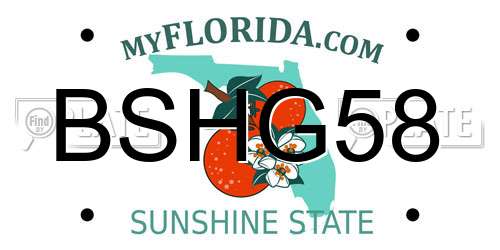BSHG58 Florida License Plate