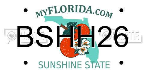 BSHH26 Florida License Plate