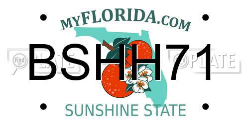 BSHH71 Florida License Plate