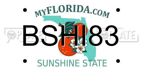 BSHI83 Florida License Plate