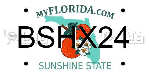 BSHX24 Florida License Plate