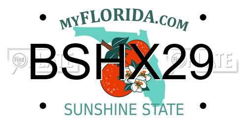 BSHX29 Florida License Plate