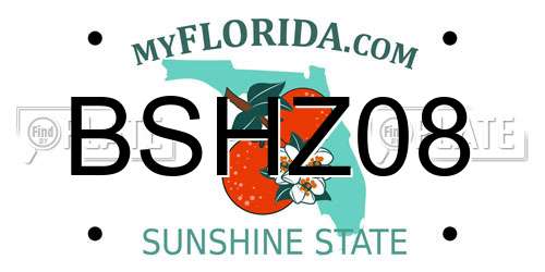 BSHZ08 Florida License Plate