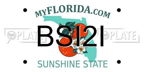 BSI2I Florida License Plate