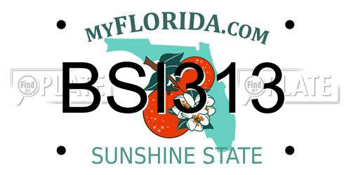 BSI313 Florida License Plate