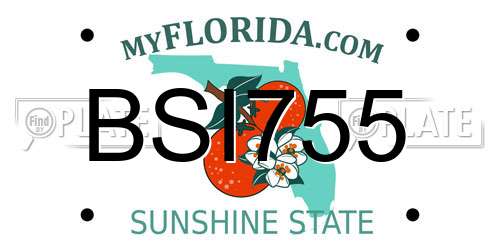 BSI755 Florida License Plate