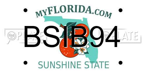 BSIB94 Florida License Plate