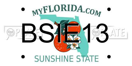 BSIE13 Florida License Plate