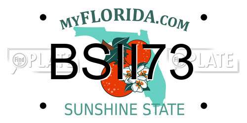BSII73 Florida License Plate