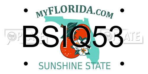BSIQ53 Florida License Plate