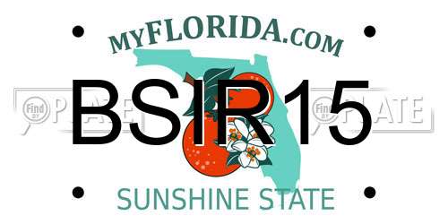 BSIR15 Florida License Plate