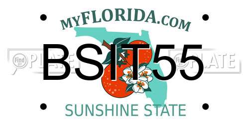 BSIT55 Florida License Plate
