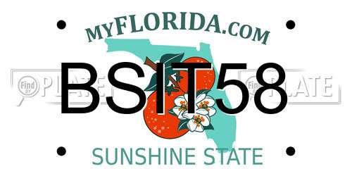 BSIT58 Florida License Plate