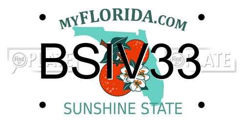 BSIV33 Florida License Plate
