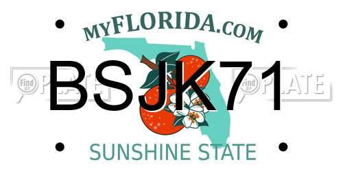 BSJK71 Florida License Plate