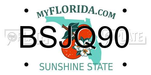 BSJQ90 Florida License Plate