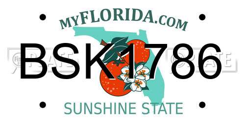 BSK1786 Florida License Plate