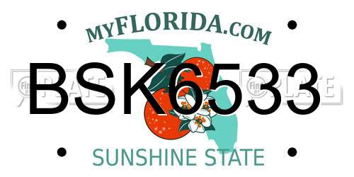 BSK6533 Florida License Plate